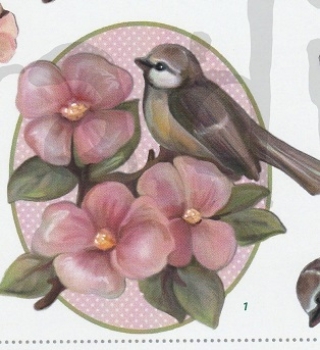 Preview: 3D Schnittbogen Meisli