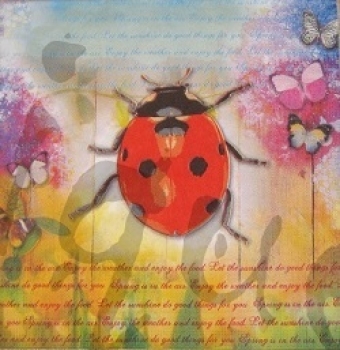 - Kopie - Kopie - Kopie