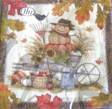 Serviette fall scenery