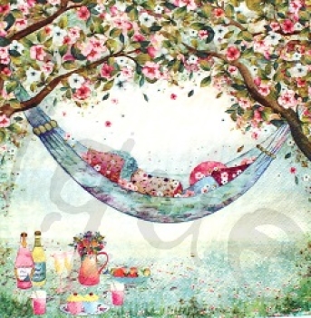 Serviette hammrock full of cushions