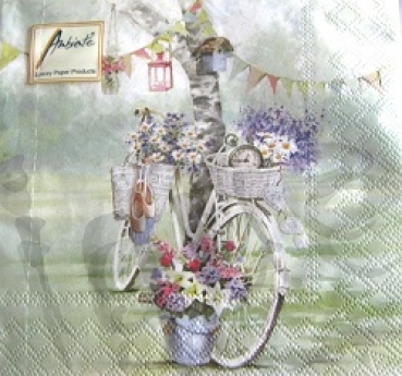 Serviette bike against tree