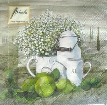 Serviette still life