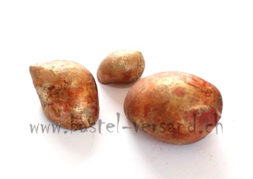 Deko Schneckenhaus kupfer