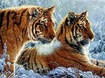 Diamond Painting 2 Tiger
