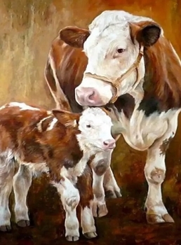 - Kopie - Kopie - Kopie - Kopie