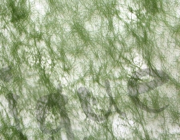 Faservlies uni oliv