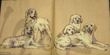 Serviette golden retriver