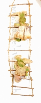 Preview: Hasen auf Leiter