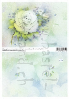 Hintergrundpapier Rose