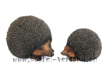 Igel Paar