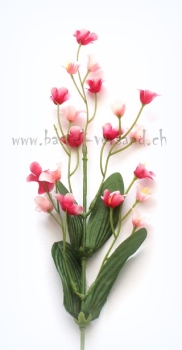 Preview: kleine rosa Blüten