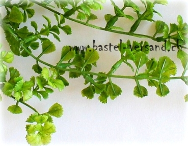 Preview: - Kopie - Kopie - Kopie - Kopie - Kopie