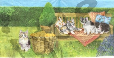 Serviette kätzchen auf bank