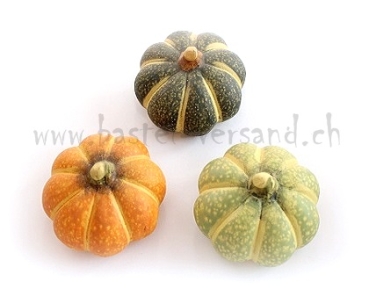 Kürbis (3Stk.)