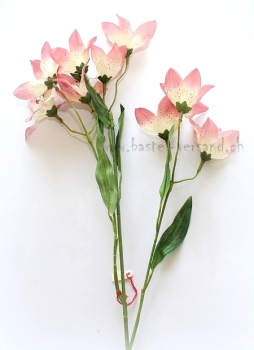 Preview: - Kopie - Kopie