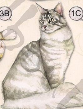 Preview: 3D Stanzbogen Katzen