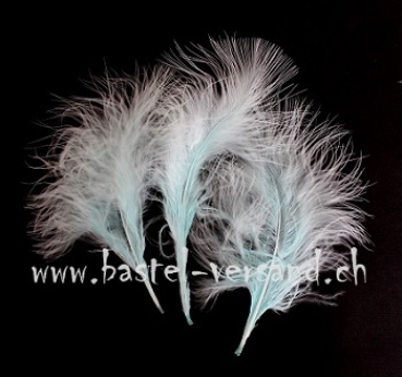 Marabufedern türkis (solange Vorrat)