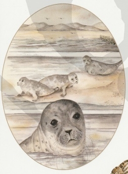 Preview: Schnittbogen am Meer