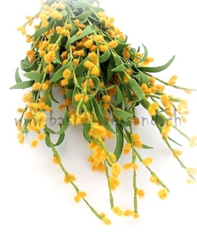 Preview: Mimosenzweig gelb