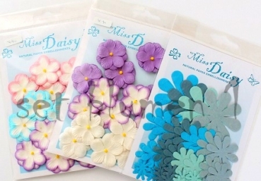 Miss Daisy Set Blumen (1)