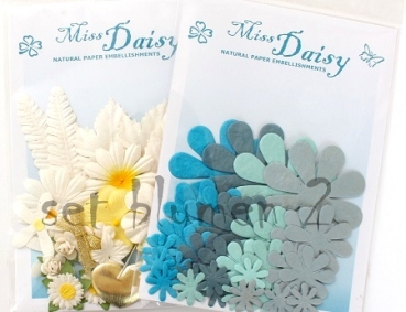 Miss Daisy Set Blumen (2)