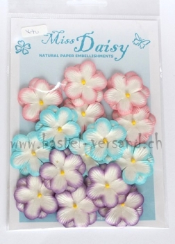 Miss Daisy Papierblume (rosa)