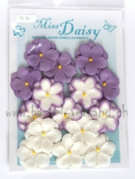 Miss Daisy Papierblume (lila)