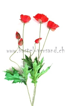 Preview: Mohn (3Stk.)