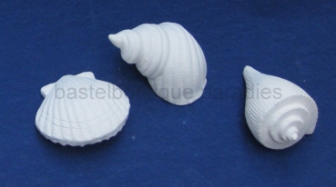 Rohkeramik Muschelset