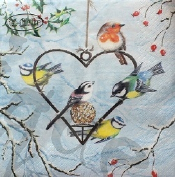 Serviette heart shaped feeder