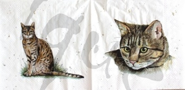 Serviette farmfriends cat