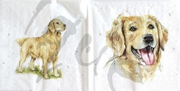 Serviette farmfriends dog