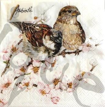 Serviette sparrows blossom