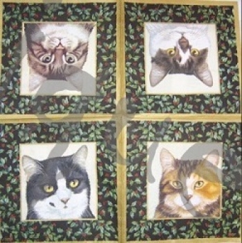 Serviette katzen