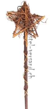 Rebenstern auf Holzstab