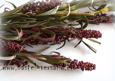 Preview: Rispenzweig dunkelrot