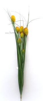 Schilfgras mit Binsen grün