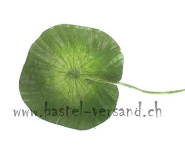 Seerosenblatt 8cm