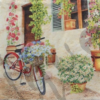 Serviette flower bike