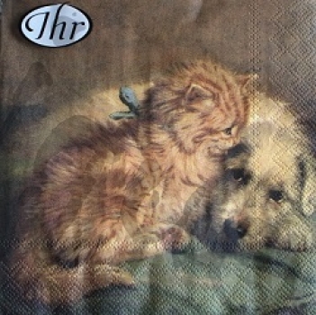 Serviette dog and cat