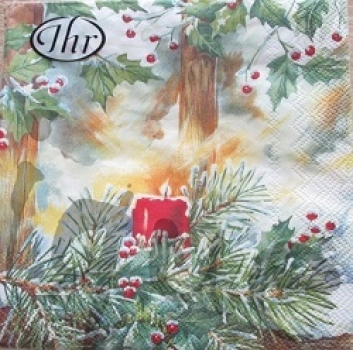 Serviette welcome lights (20Stk.)