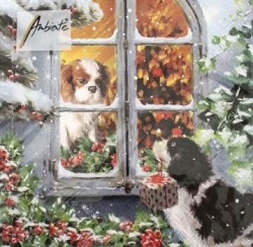 - Kopie - Kopie - Kopie - Kopie