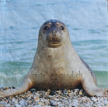 Serviette seal