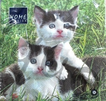 Serviette susi & sammy