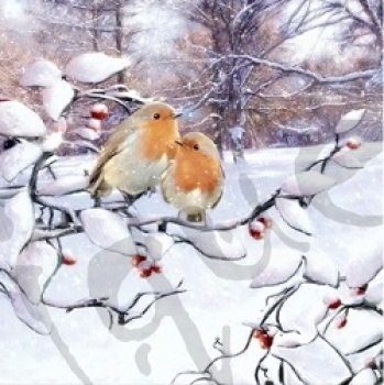 Serviette robins on branch