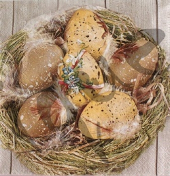 Serviette brown eggs in nest