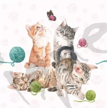Serviette playing kitten (2Stk.)