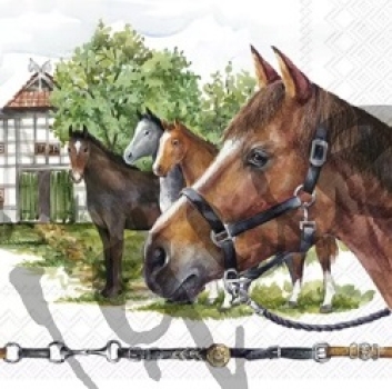 Serviette nikas family