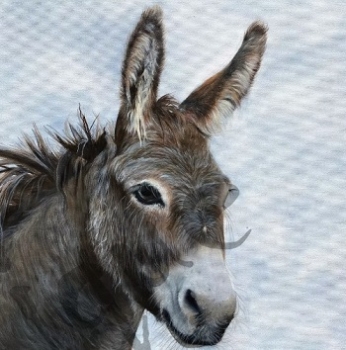 Serviette honkey the donkey