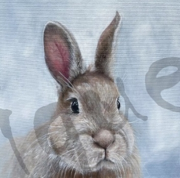 - Kopie - Kopie - Kopie